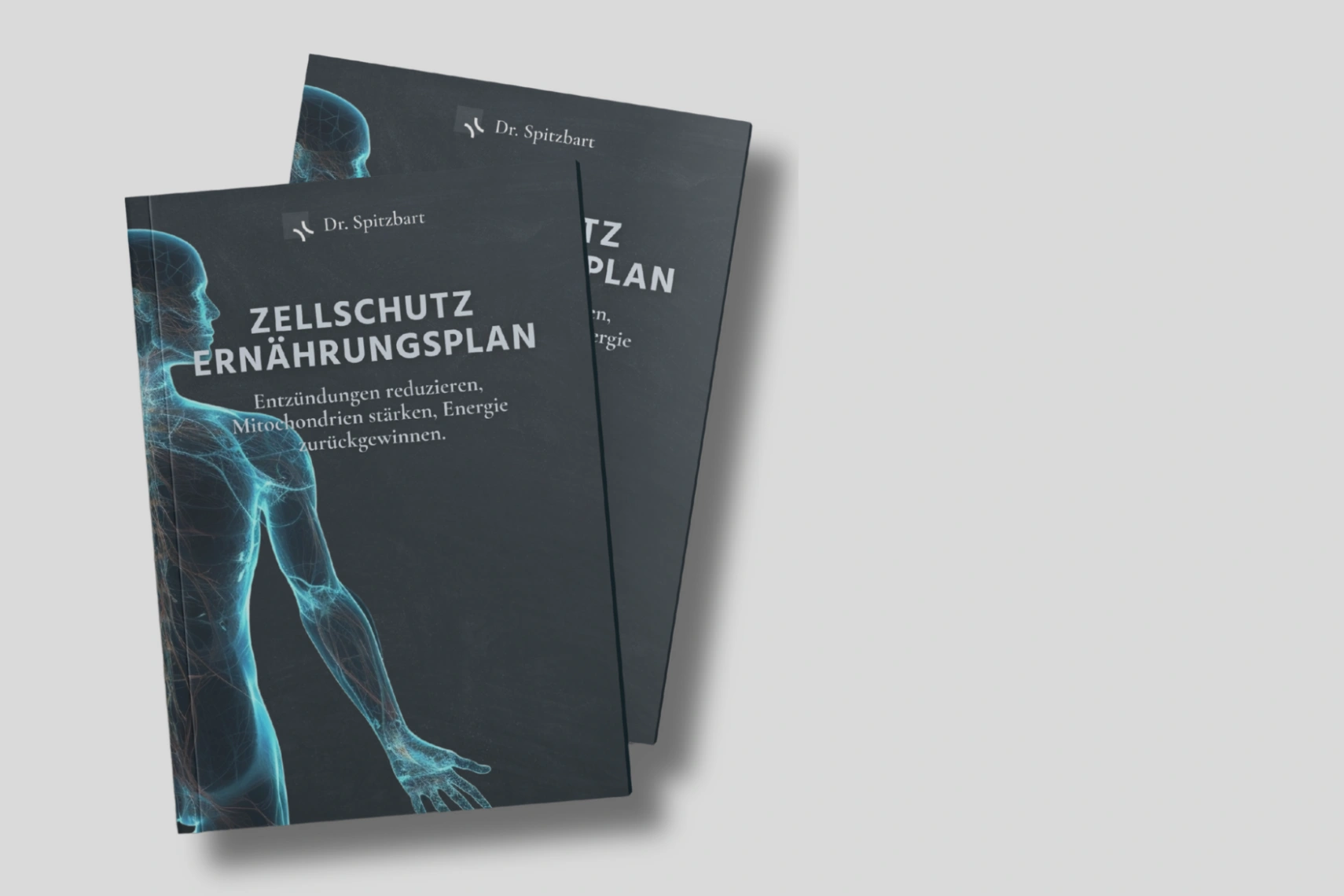 Zellschützende Ernährung empfohlen von Dr. Spitzbart Blutanalyse Software von Dr. Spitzbart