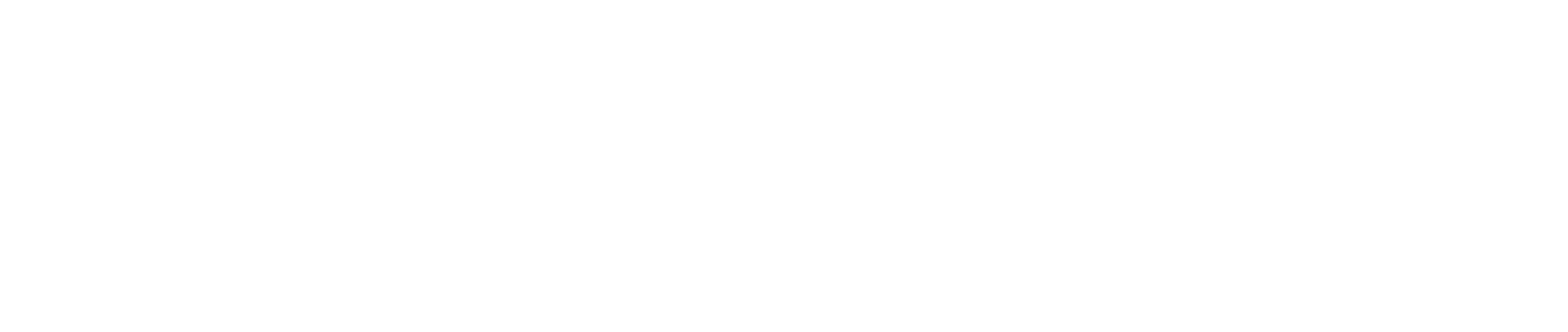 Ganzheitliche Gesundheit in der Dr. Spitzbart Masterclass Logo von Dr. Michael Spitzbart