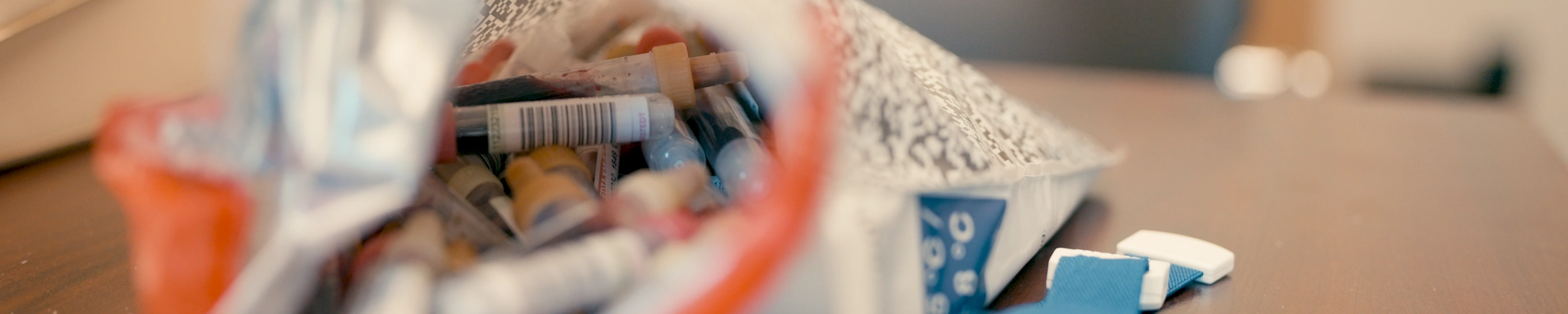 Dein Blutbild erklärt – verständlich & praxisnah Blut verstehen – Prävention beginnt hier